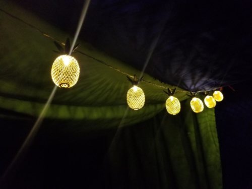 Pineapple Fairy String Light - 6.5FT 10 LED photo review