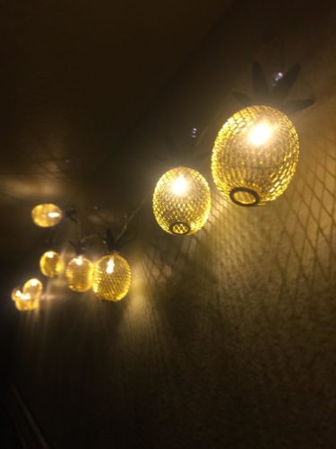 Pineapple Fairy String Light - 6.5FT 10 LED photo review