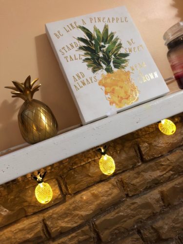 Pineapple Fairy String Light - 6.5FT 10 LED photo review