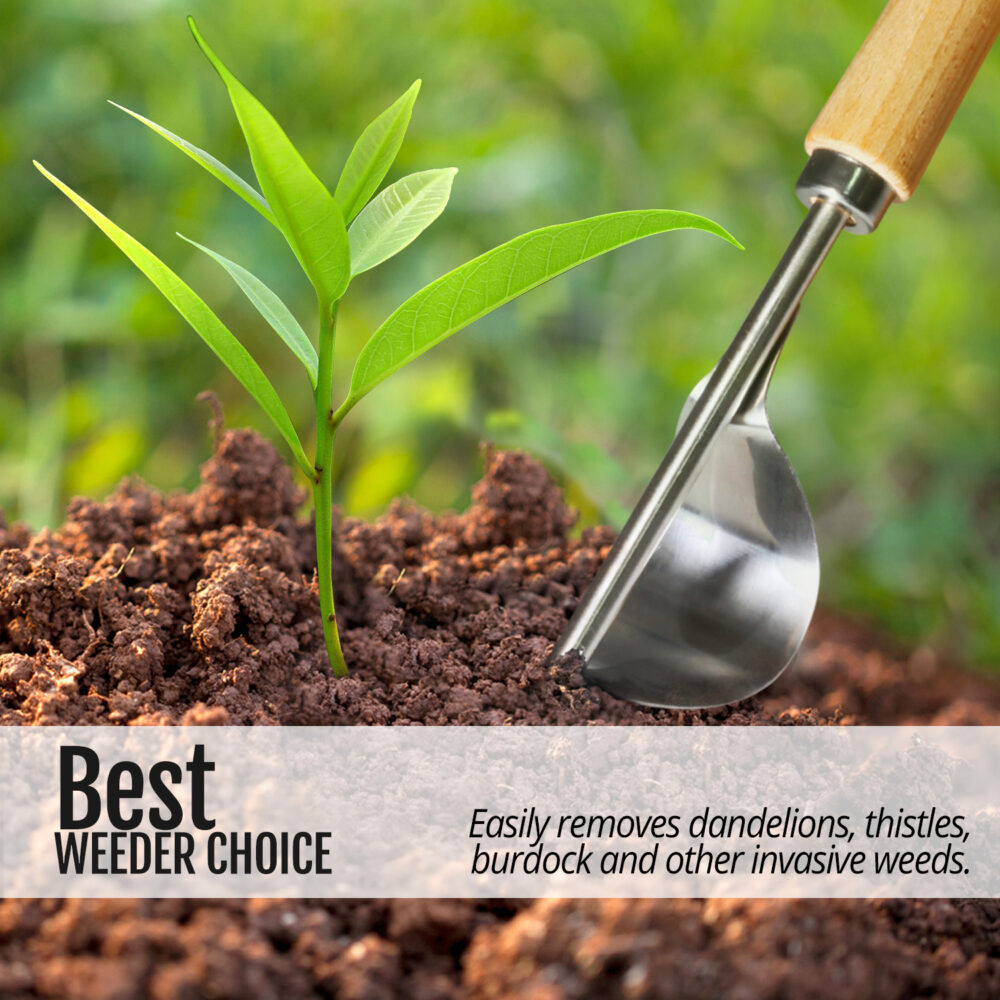 Manual Hand Weeder - Image 5
