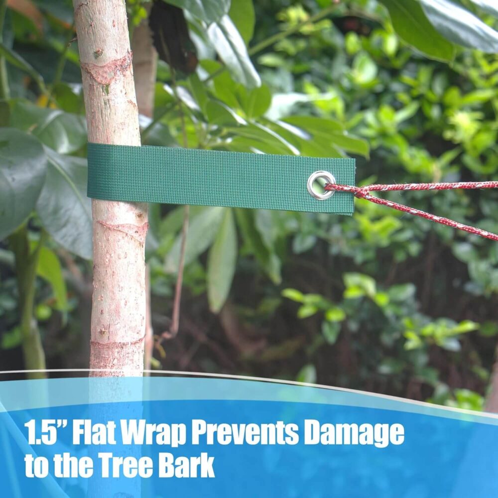 Tree Straps