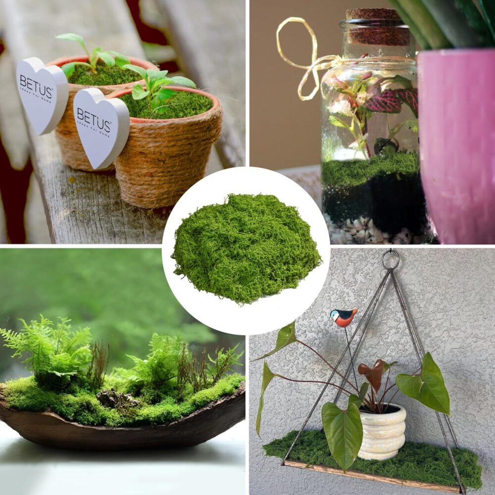 Artificial Green Moss for Crafts