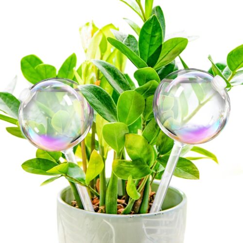 Iridescent Glass Plant Watering Globes
